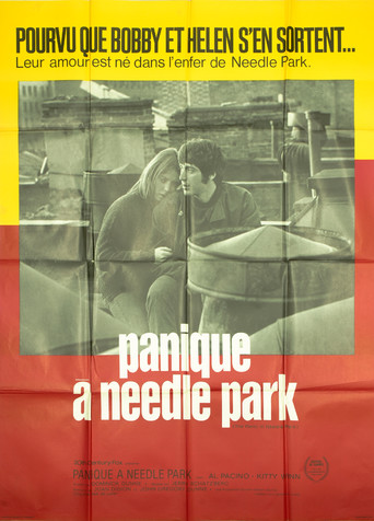 Panique à Needle Park