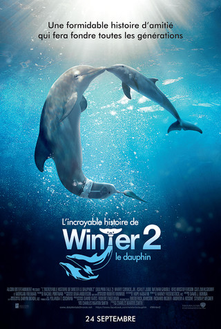 L'Incroyable histoire de Winter le dauphin 2