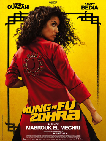 Kung-fu Zohra
