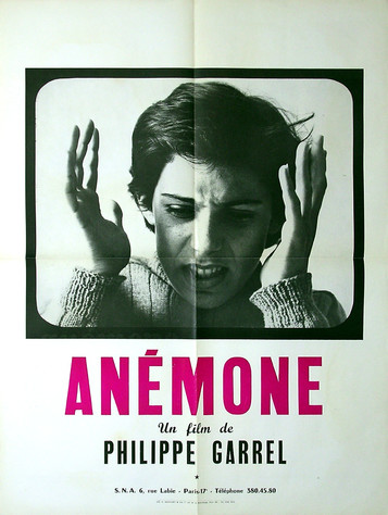 Anémone