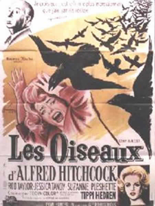 Les Oiseaux