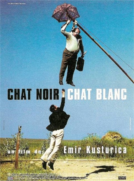 Chat noir chat blanc