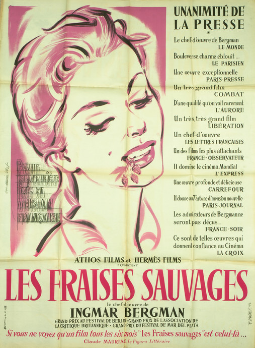 Les Fraises sauvages