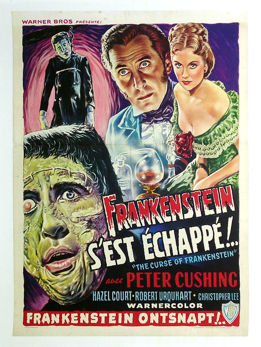 Frankenstein s'est échappé