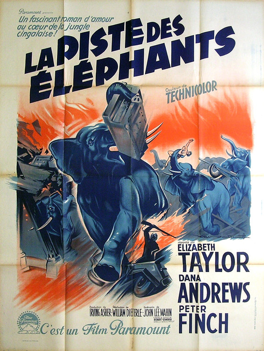 La Piste des Eléphants