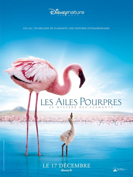 Les Ailes pourpres